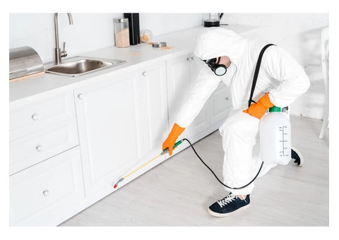 Pest Control Sydney - 2/7