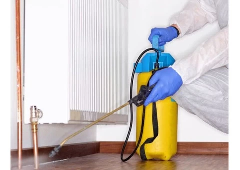 Local Pest Control Adelaide