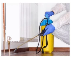 Local Pest Control Adelaide