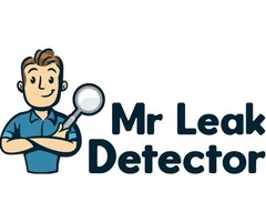 Mr Leak Detector