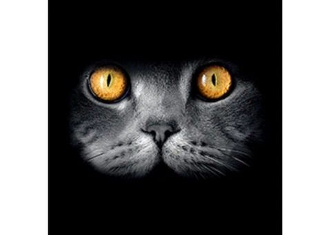 Sunshine Coast Website Designs - 1/7