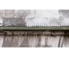 Best Bird Nest Removal in Melbourne at Affordable Rate - Pest Control Doctor