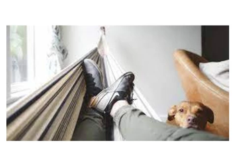 removalist Sydney Adams & Rofe Sydney removals - 1/8