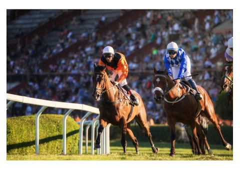 Safe Industries Australia | Work Health and Safety Service