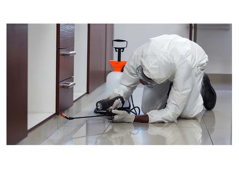 247 Pest Control Hobart - 1/8