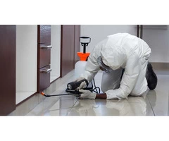 247 Pest Control Hobart