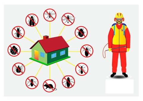 247 Pest Control Hobart - 3/8