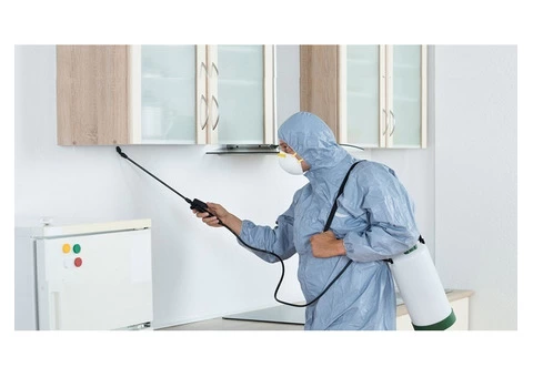 247 Pest Control Hobart - 4/8