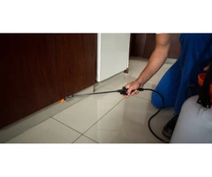 Ses Pest Control Brisbane