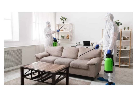 Ses Pest Control Brisbane - 4/5