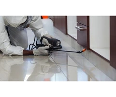Pest Control Canberra