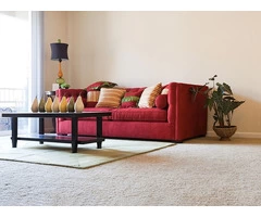 Buy a carpet at a discounted price