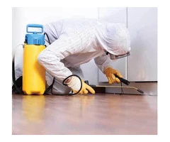 Termite Control Adelaide