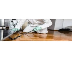 SAMS Pest Control Sydney