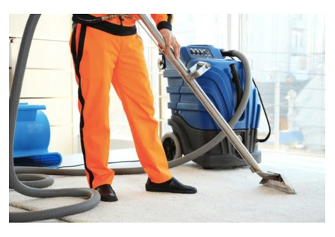 same day carpet cleaning service