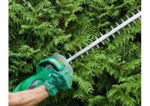 Hedge Cutting In Melbourne By Professionals