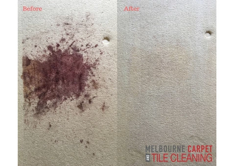 Best Carpet Cleaning Service Dandenong - 2/3