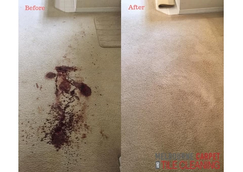 Best Carpet Cleaning Service Dandenong - 3/3