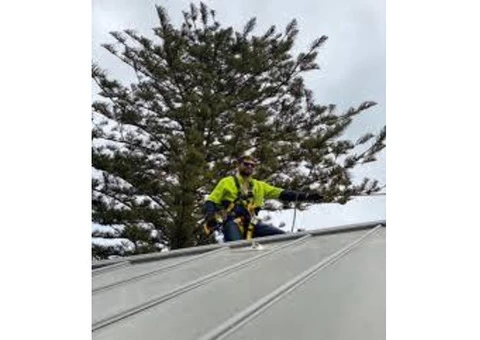 Looking for Gutter Cleaning in Sydney