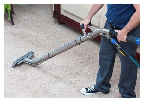 Professional Carpet Cleaning Services in Cranbourne - 1/3