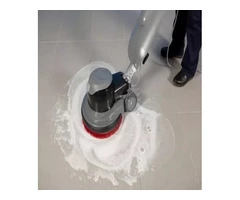 Professional Carpet Cleaning Services in Frankston