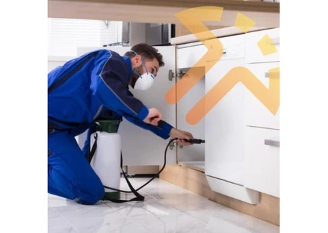 Pest Control Services Brisbane - Triggered Pest Control Brisbane - 3/3
