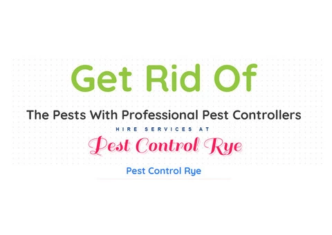 Pest Control Rye - 2/8