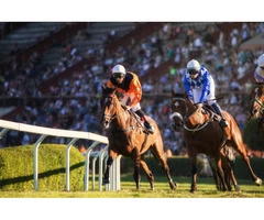 Safe Industries Australia | Work Health and Safety Service