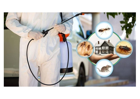 End of Lease Pest Control Sydney - 5/5