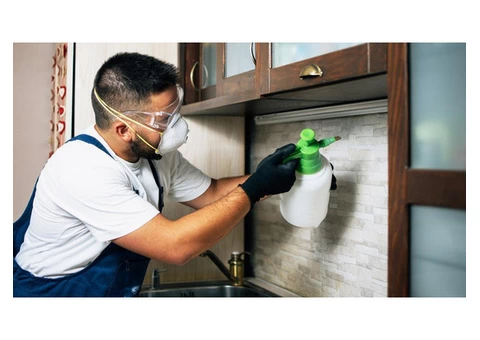 Max Pest Control Hobart - 3/5