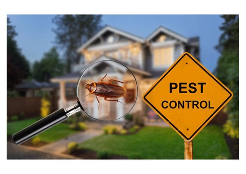 South Pest Control Adelaide - 2/7