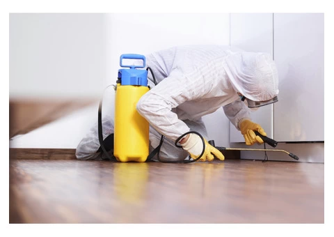 South Pest Control Adelaide - 3/7