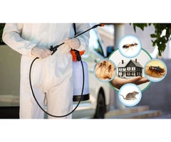 Sams Pest Control Brisbane