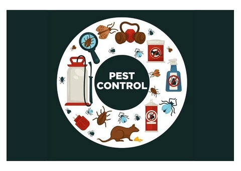 Pest control Services Sydney