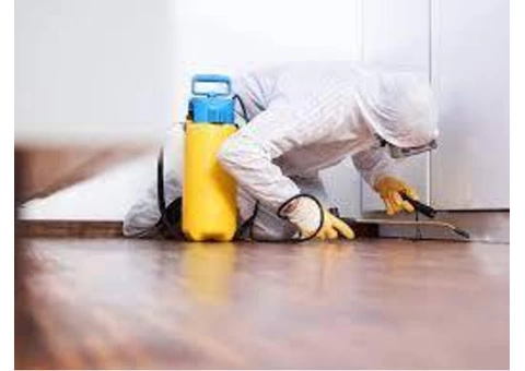 Bed Bugs Control Sydney