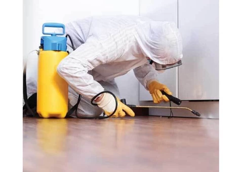 Pest Control Preston - 2/2