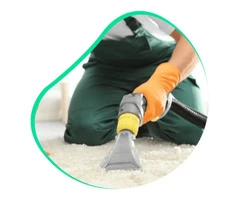 Carpet Cleaning Coogee
