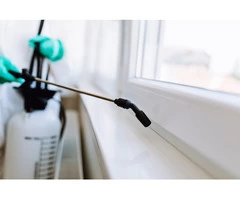 Pest Control Coorparoo