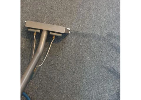 Professional Carpet Cleaners Brisbane - 1/3