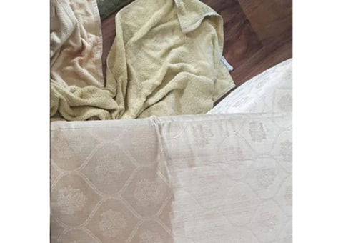 Professional Carpet Cleaners Brisbane - 2/3