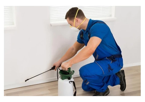 Pest Control Services Perth