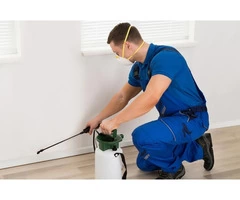 Pest Control Services Perth
