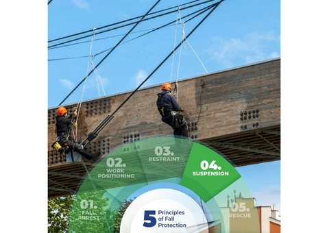Roof safety systems & Professional Safety Services At RIS Safety - 2/2