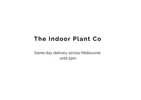 The Indoor Plant Co
