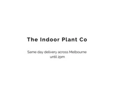 The Indoor Plant Co