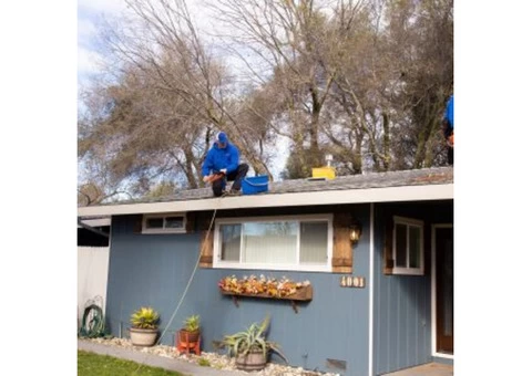 squekyclean carpet cleaning - 1/4
