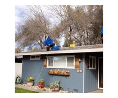 squekyclean carpet cleaning