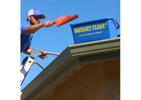 squekyclean carpet cleaning - 3/4