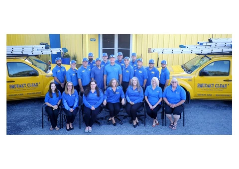 squekyclean carpet cleaning - 4/4