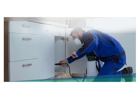 Get Rid of Cockroaches With Cockroach Control Services in Melbourne